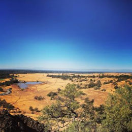 This was from a hike in Upper Bidwell Park, Chico, CA