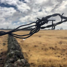 Photo taken by Justin Converse on the bike path by Doe Mill and 20th Street.