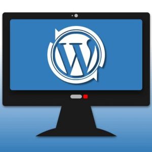 Keep your WordPress website up to date with the latest security measures and platform patches and enhancements.