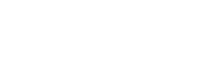 WordPress updates may not be fun, but our team sure does enjoy seeing your company reach it's optimal performance. To us, seeing you grow is our Fun.