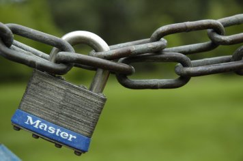 10 Ways to Determine the Quality of a WordPress Plugin