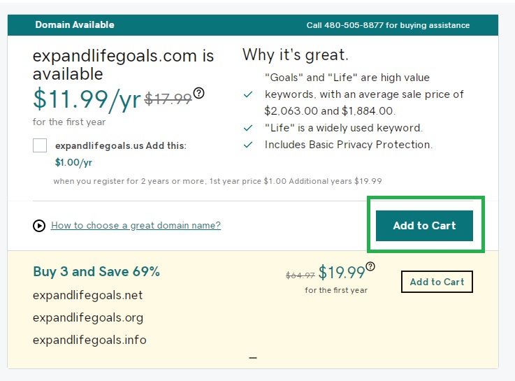 Purchasing a domain name on GoDaddy for 12 dollars a year
