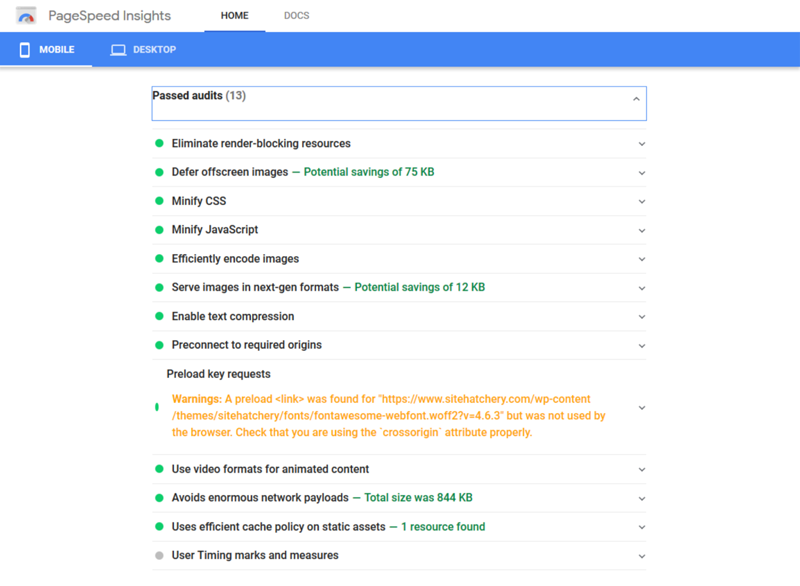 PageSpeed Insights - Passed Audits List