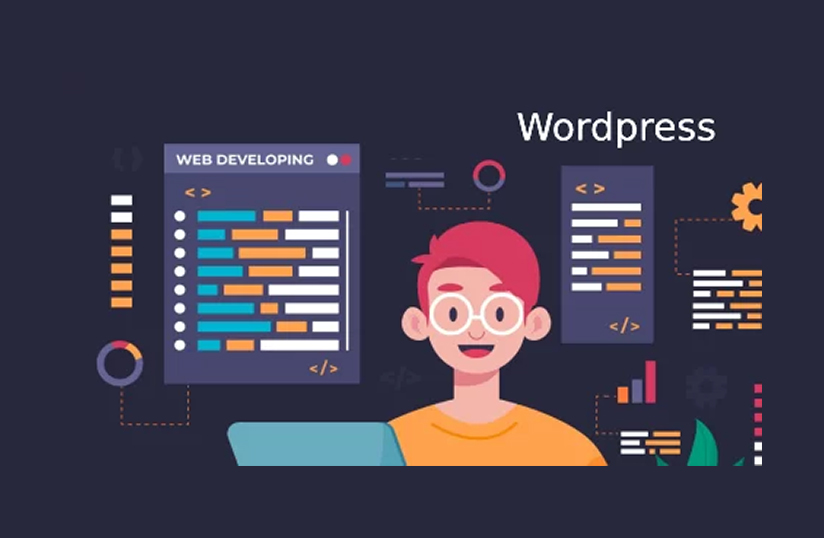 We are WordPress Developers